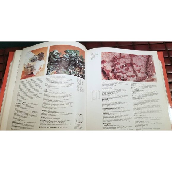 The Illustrated Encyclopedia of the Mineral Kingdom Dr. Alan Woolley Editor - Picture 5 of 5